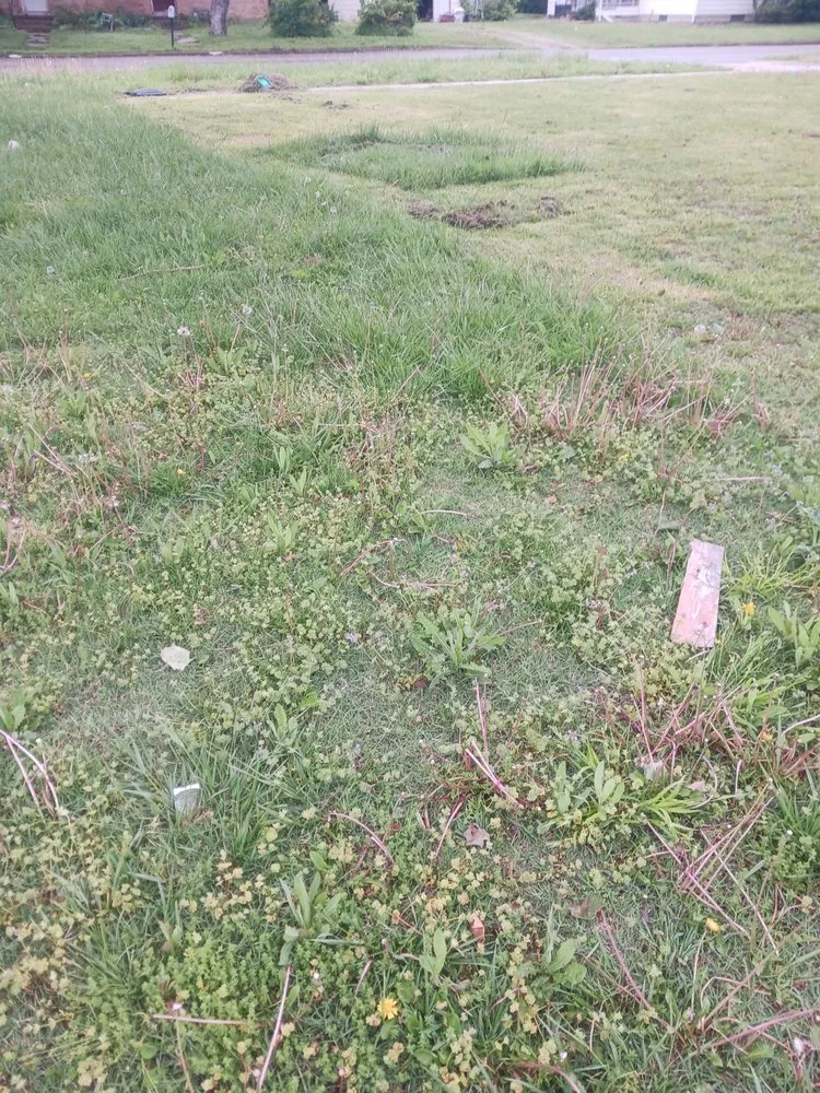 Top-rated landscaping services in Fredonia, KS by Raylee Cox Mowing Business