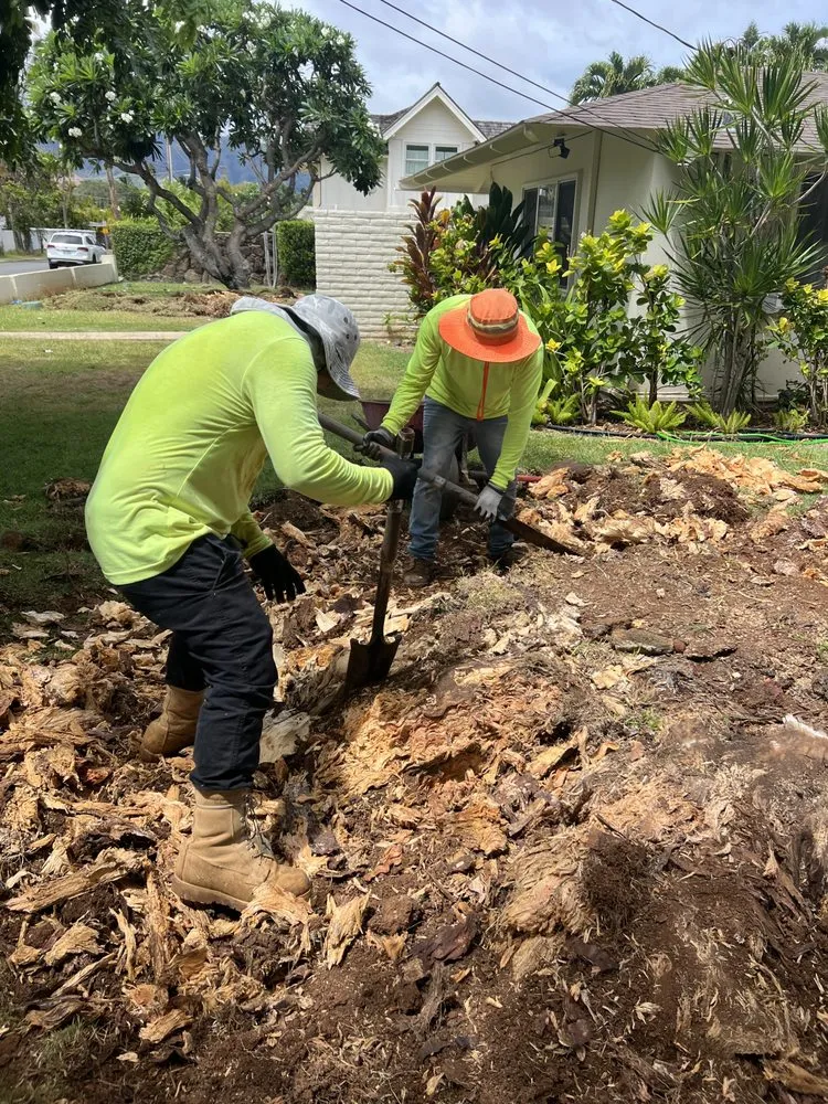Affordable landscaping services experts serving Urban Honolulu, HI - Rayloise Landscaping