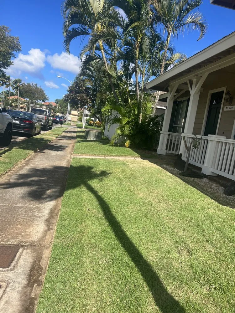 Custom landscaping services in Urban Honolulu, HI by Rayloise Landscaping