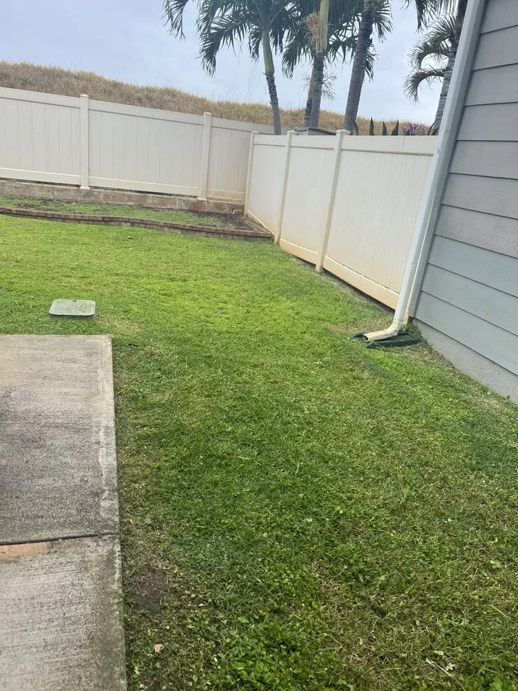 Trusted lawn care service for beautiful yards across Urban Honolulu, HI - Rayloise Landscaping