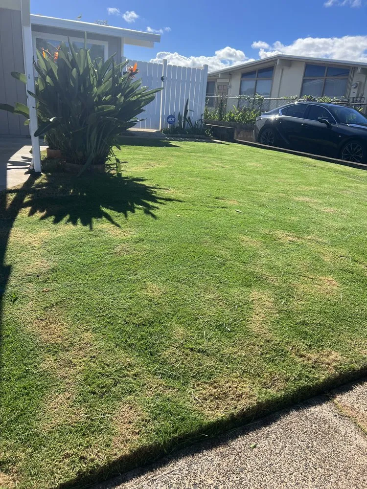 Top-rated lawn mowing service in Urban Honolulu, HI - Rayloise Landscaping