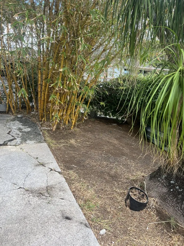 Affordable garden landscaping with custom design in Urban Honolulu, HI by Rayloise Landscaping