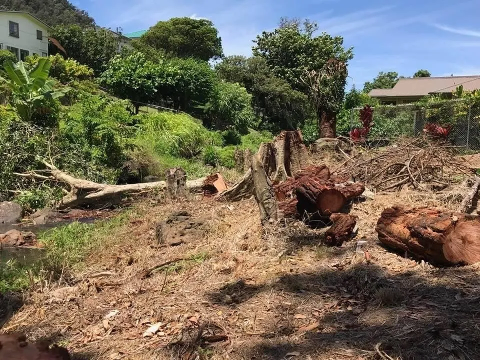 Affordable residential landscaping experts serving Urban Honolulu, HI - Rayloise Landscaping