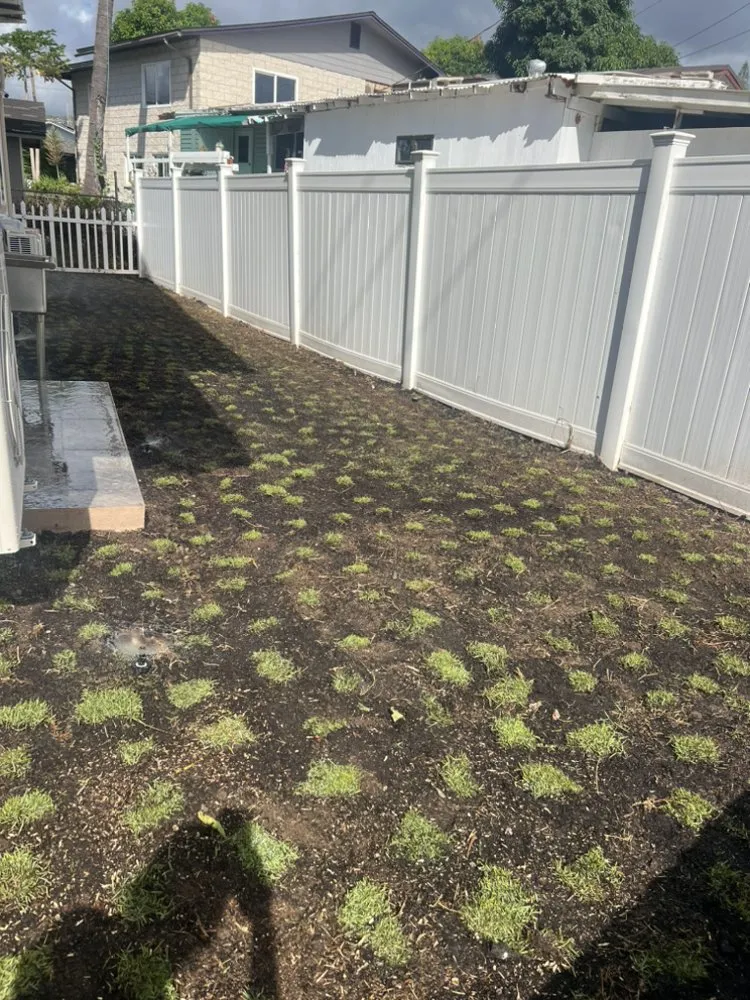 Custom lawn care service in Urban Honolulu, HI - Rayloise Landscaping