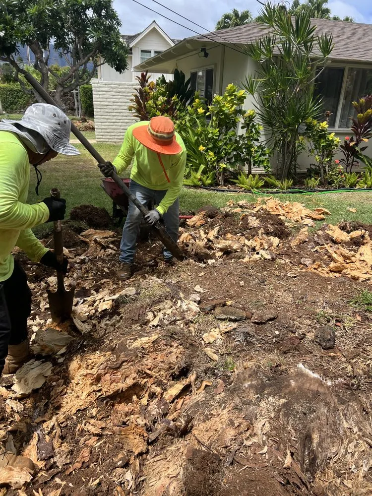 Affordable residential landscaping in Urban Honolulu, HI by Rayloise Landscaping