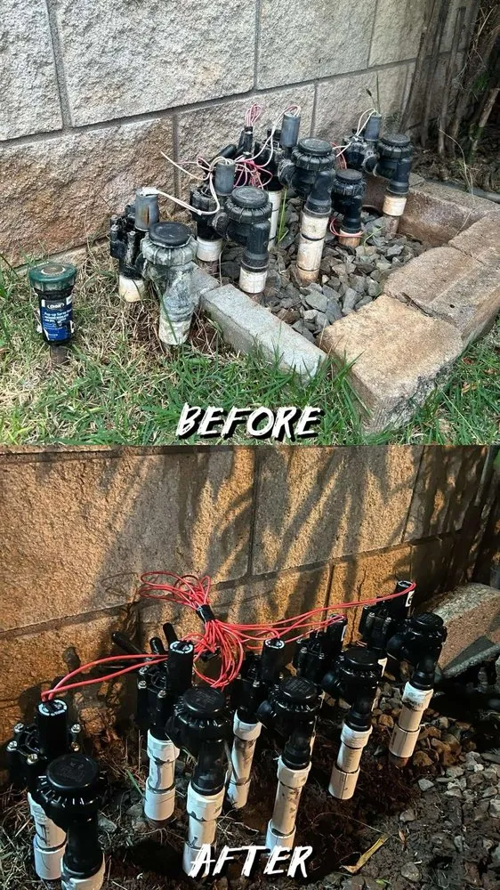 Top-rated lawn care service for year-round maintenance across Urban Honolulu, HI - Rayloise Landscaping