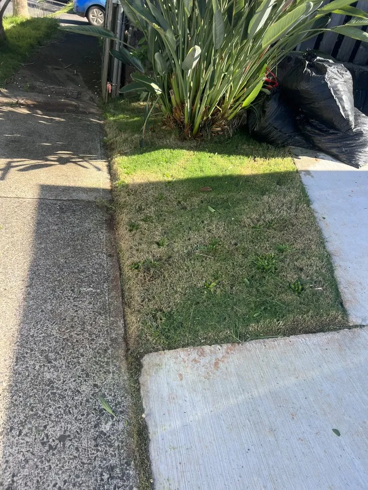 Top-rated lawn mowing service for outdoor upgrades in Urban Honolulu, HI by Rayloise Landscaping