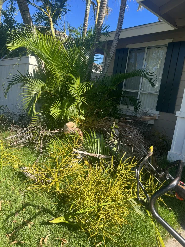 Expert outdoor landscaping for outdoor upgrades in Urban Honolulu, HI by Rayloise Landscaping