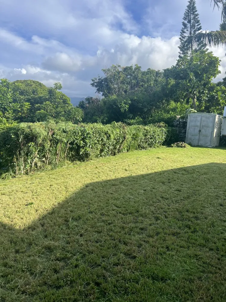 Affordable yard maintenance in Urban Honolulu, HI by Rayloise Landscaping