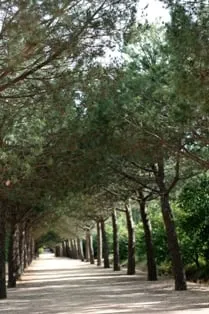 Reliable yard cleanup service experts serving Trappe, PA - Raymond Landscaping