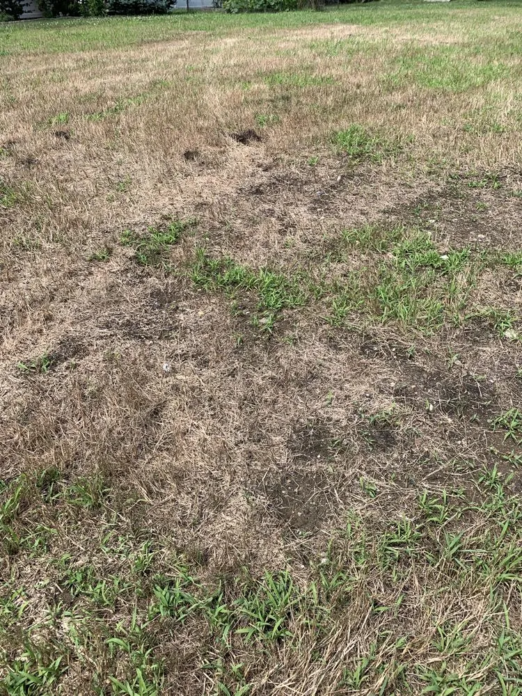 Top-rated residential landscaping for beautiful yards across Trappe, PA - Raymond Landscaping