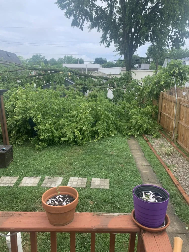 Local residential landscaping experts serving New Albany, IN - Raymond Lawn & Landscaping