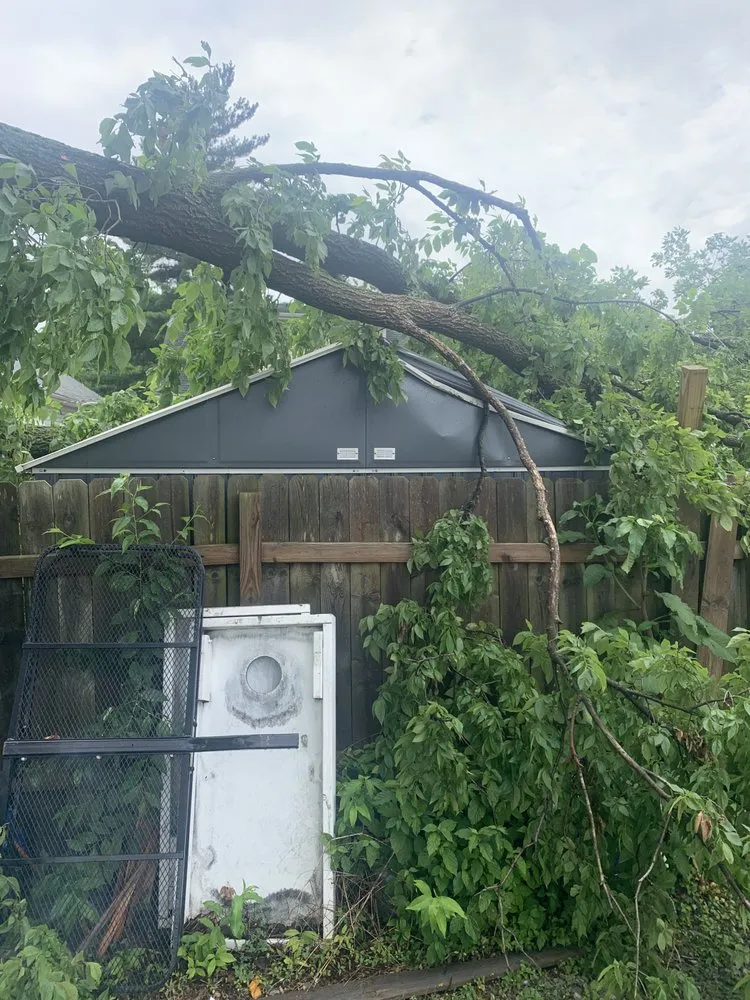 Expert landscaping services in New Albany, IN by Raymond Lawn & Landscaping