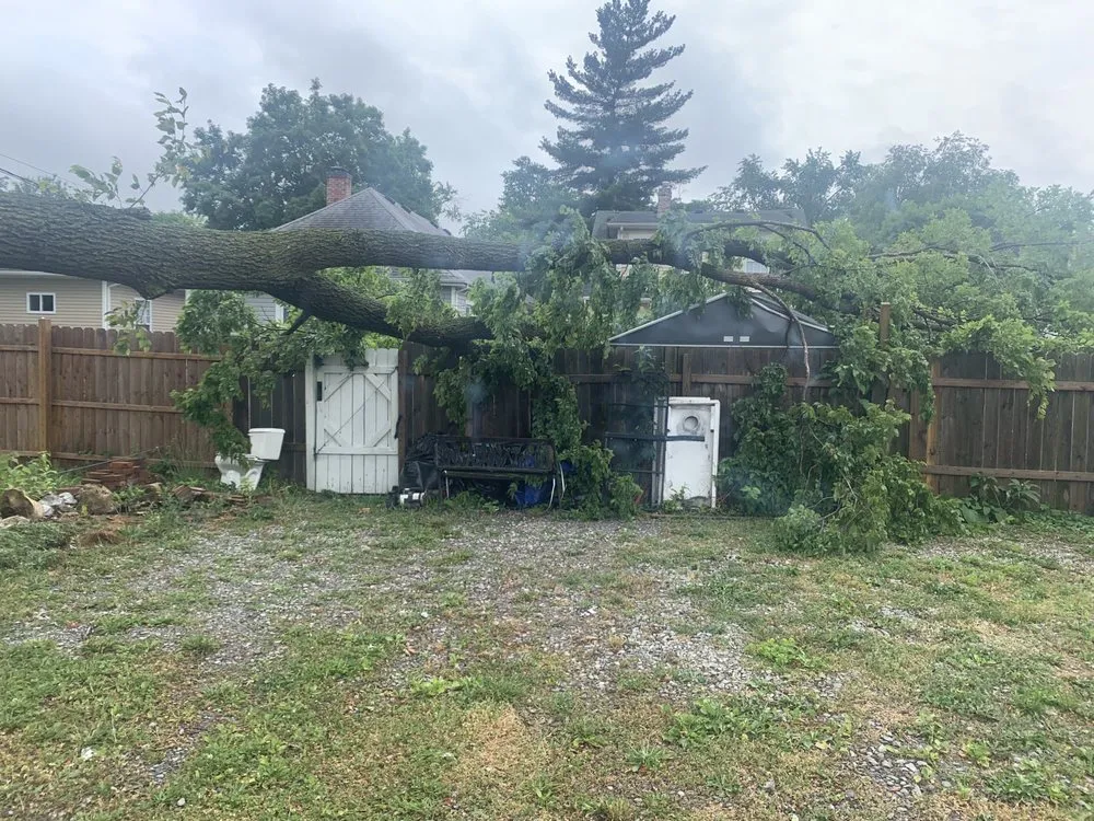 Top-rated yard maintenance experts serving New Albany, IN - Raymond Lawn & Landscaping