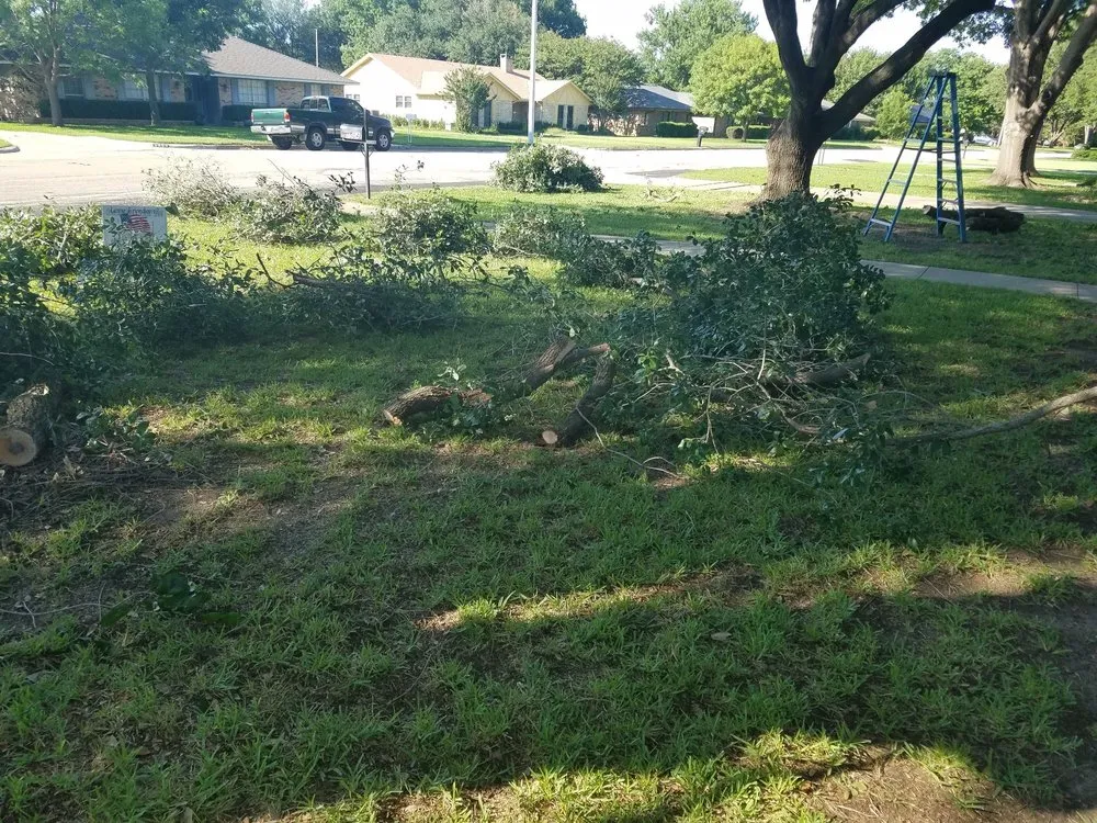 Trusted yard maintenance for homes in Denton, TX by Raymond Lawn Service