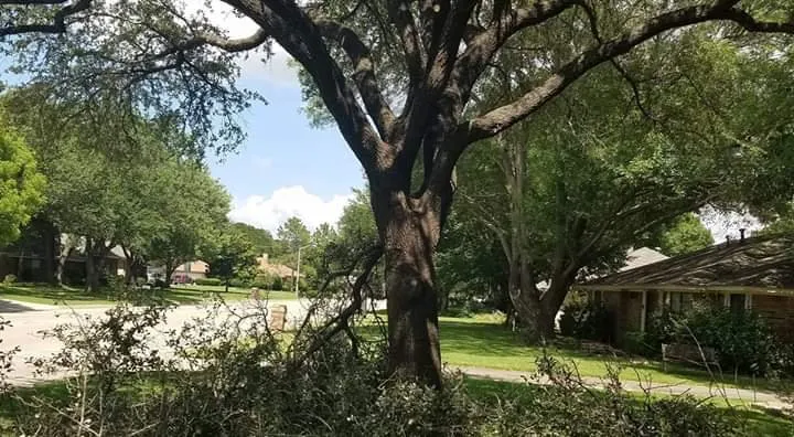 Local lawn mowing service in Denton, TX - Raymond Lawn Service