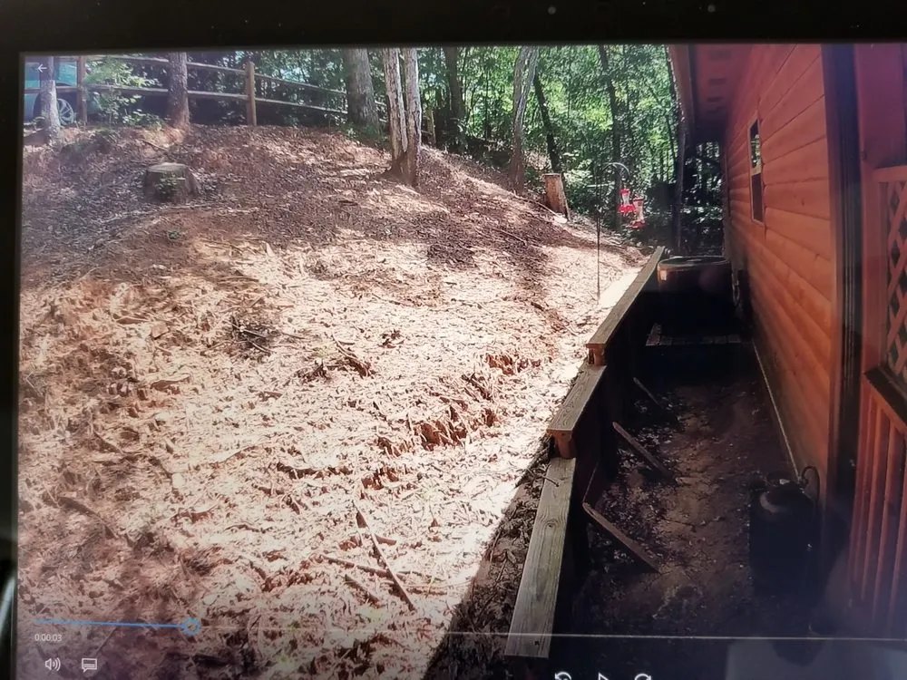 Professional yard cleanup service in Hendersonville, NC by Raymond's Garden Center