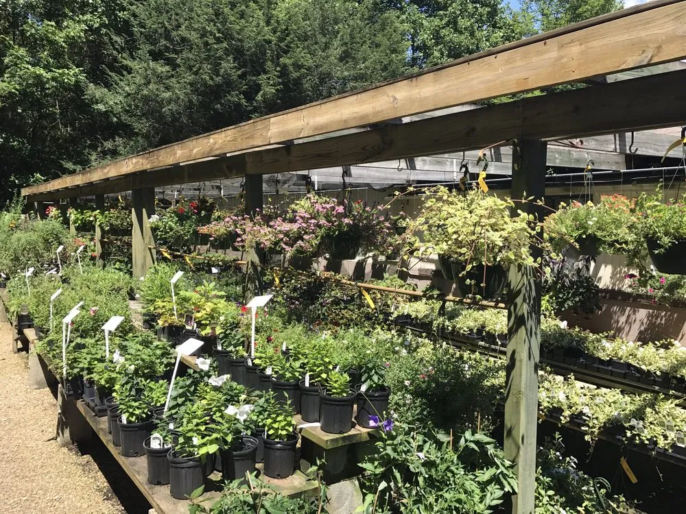 Professional outdoor landscaping in Hendersonville, NC by Raymond's Garden Center