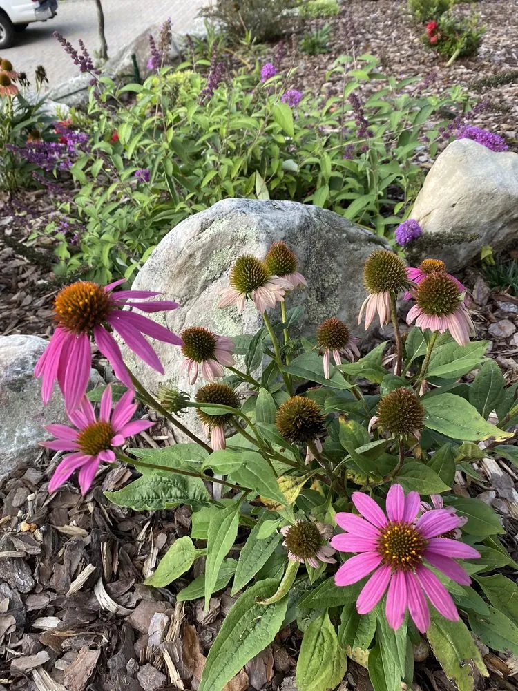 Top-rated residential landscaping in Hendersonville, NC by Raymond's Garden Center