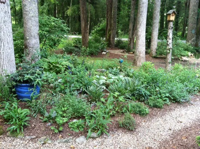 Custom lawn mowing service in Hendersonville, NC - Raymond's Garden Center