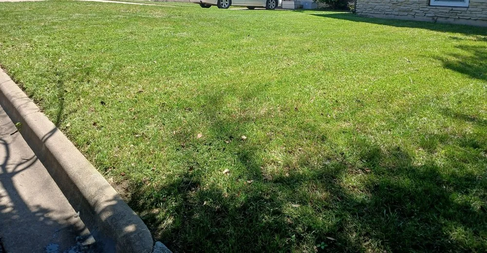 Trusted garden landscaping in Austin, TX - Raymond's Landscaping & Tree Services