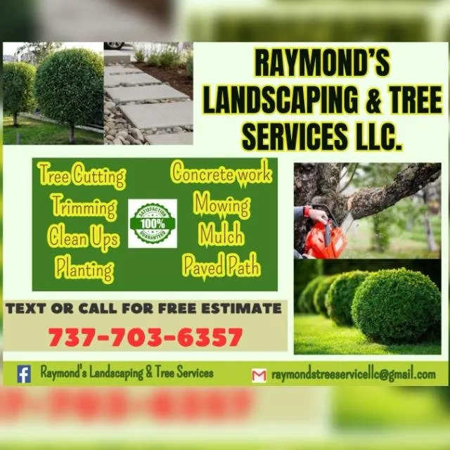 Local yard cleanup service in Austin, TX by Raymond's Landscaping & Tree Services