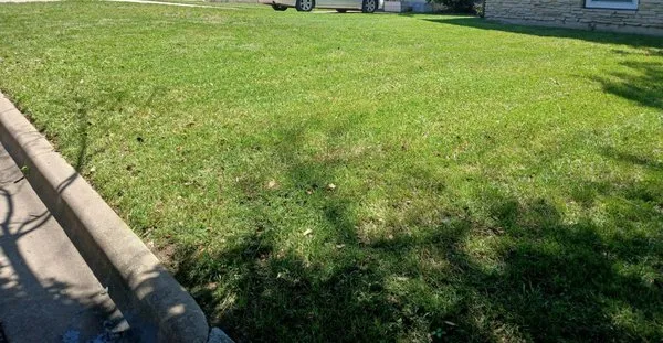 Raymond's Landscaping & Tree Services Logo