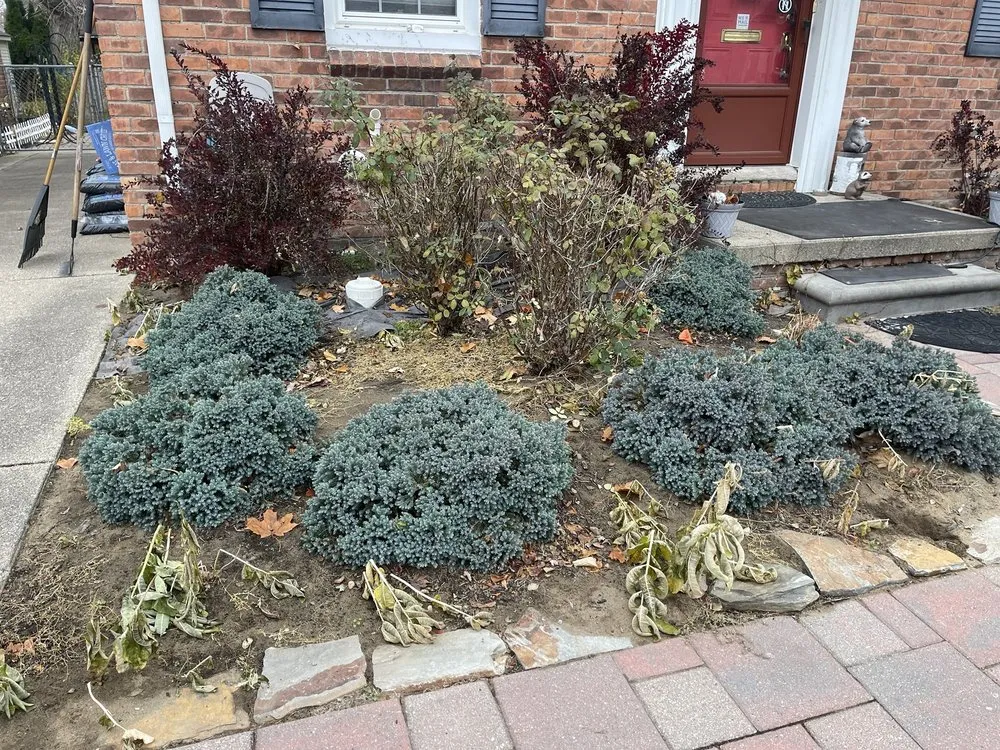 Top-rated lawn care service near you in Wyandotte, MI by Raymonds Lawn Care and Maintenance