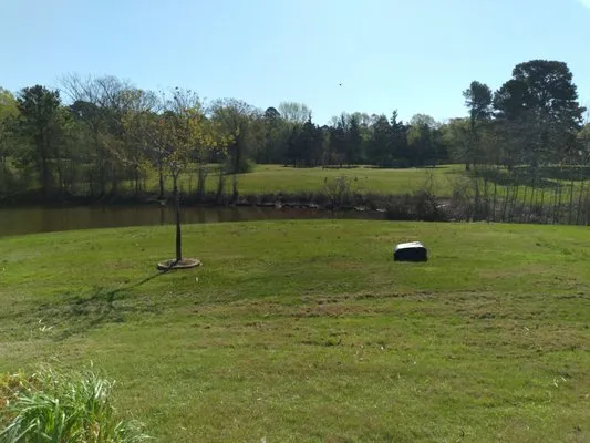 Raymond's Lawn Care and More Logo