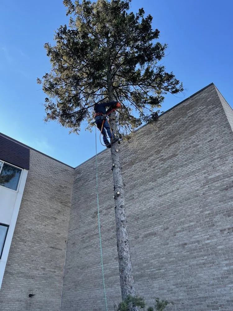 Local residential landscaping in Wyandotte, MI - Raymond’s Lawn Care