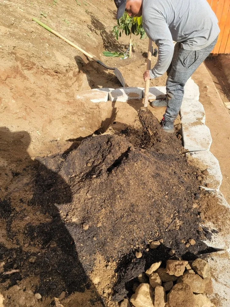 Affordable lawn mowing service in San Diego, CA by Raymundo Landscaping