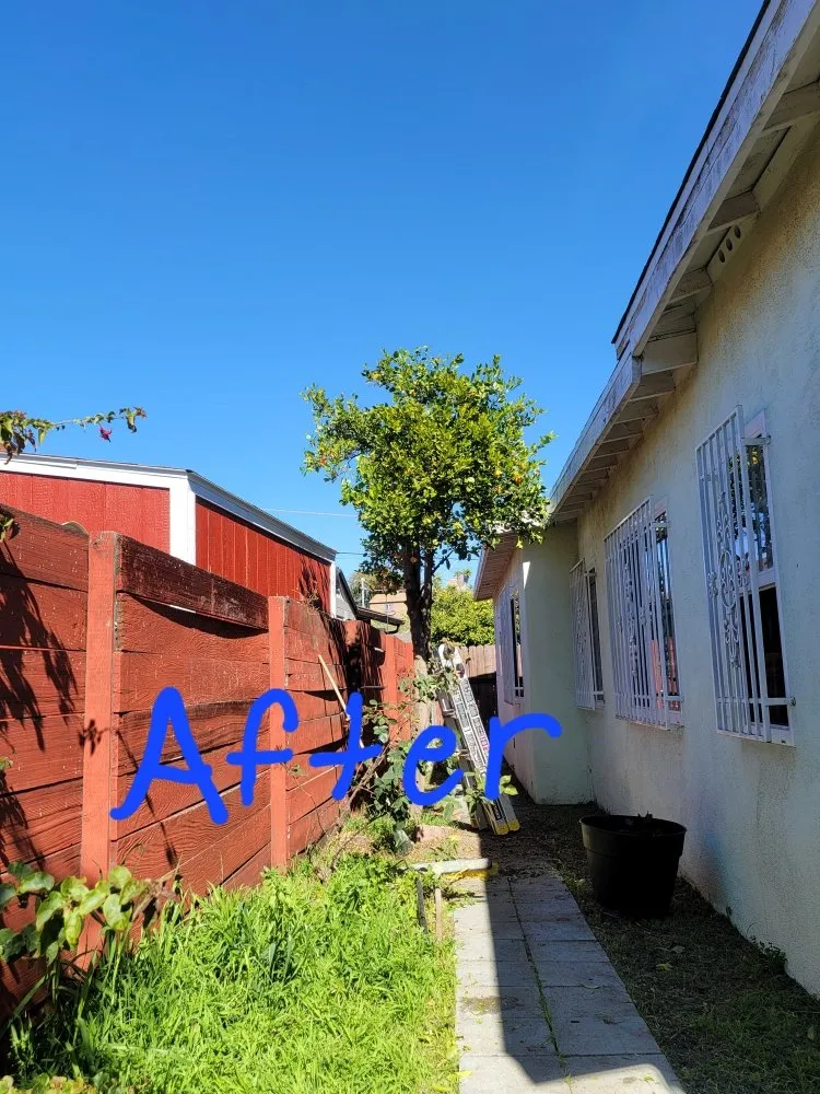 Custom landscape design for beautiful yards in San Diego, CA by Raymundo Landscaping