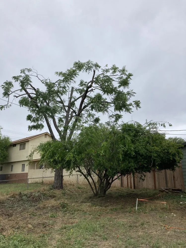 Custom lawn mowing service in Fallbrook, CA - Raymundo Landscaping Tree Service