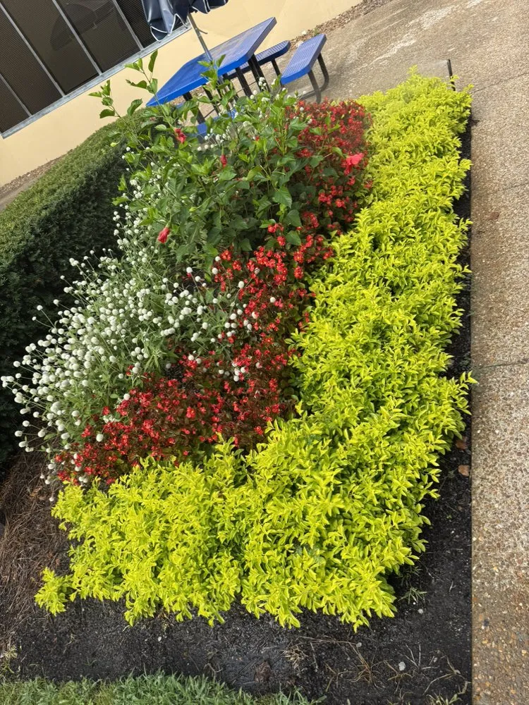 Professional yard maintenance for residential properties in Nashville, TN by Raymundo Lopez