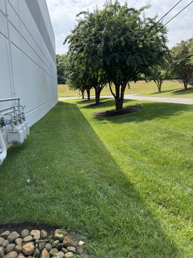 Top-rated lawn care service with custom design in Nashville, TN by Raymundo Lopez