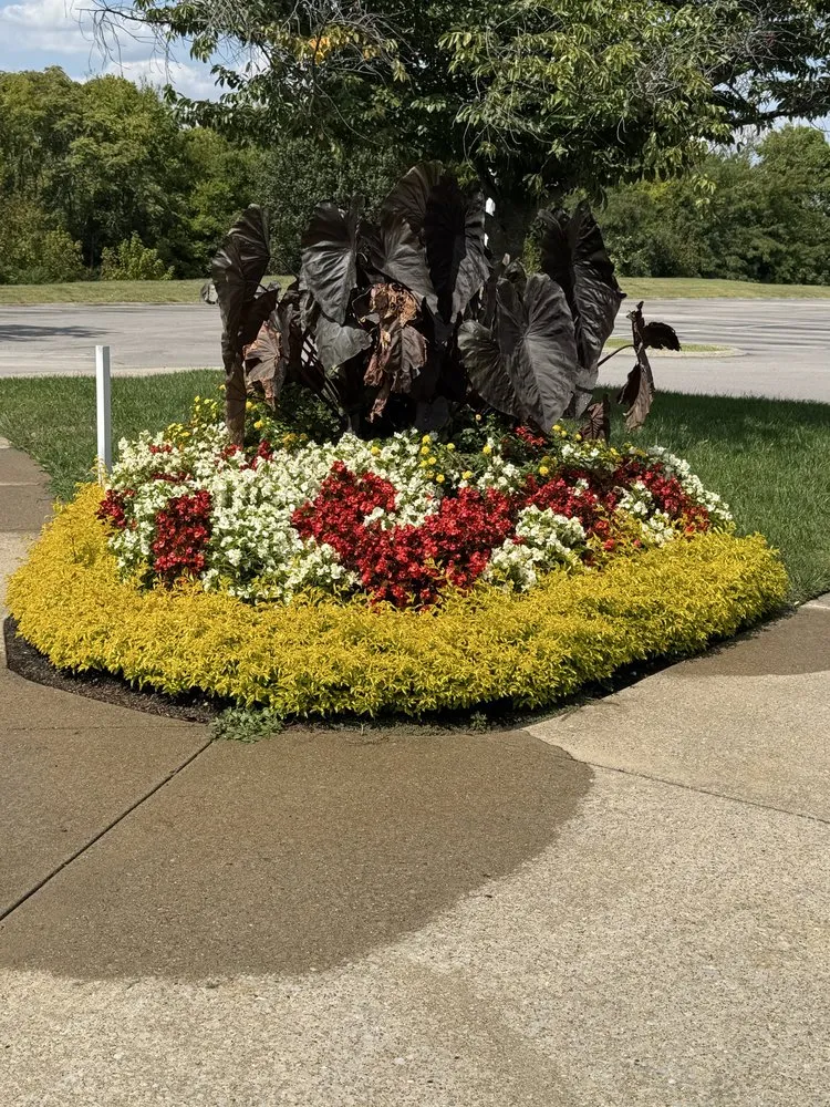 Local lawn care service in Nashville, TN - Raymundo Lopez