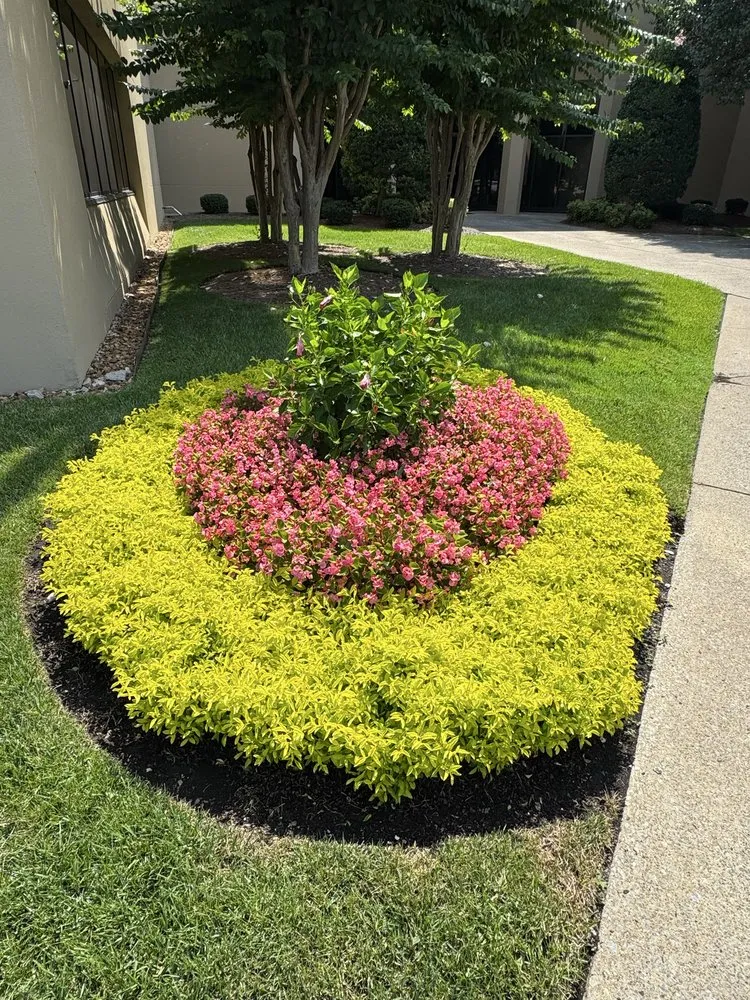 Professional lawn care service for beautiful yards across Nashville, TN - Raymundo Lopez