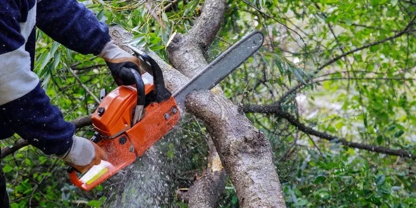 Professional landscape installation experts serving Nashville, TN - Raymundo Lopez