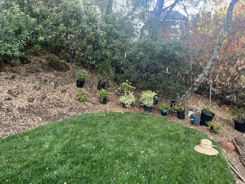 Affordable lawn care service for beautiful yards across Placerville, CA - Raymundo Maintenance