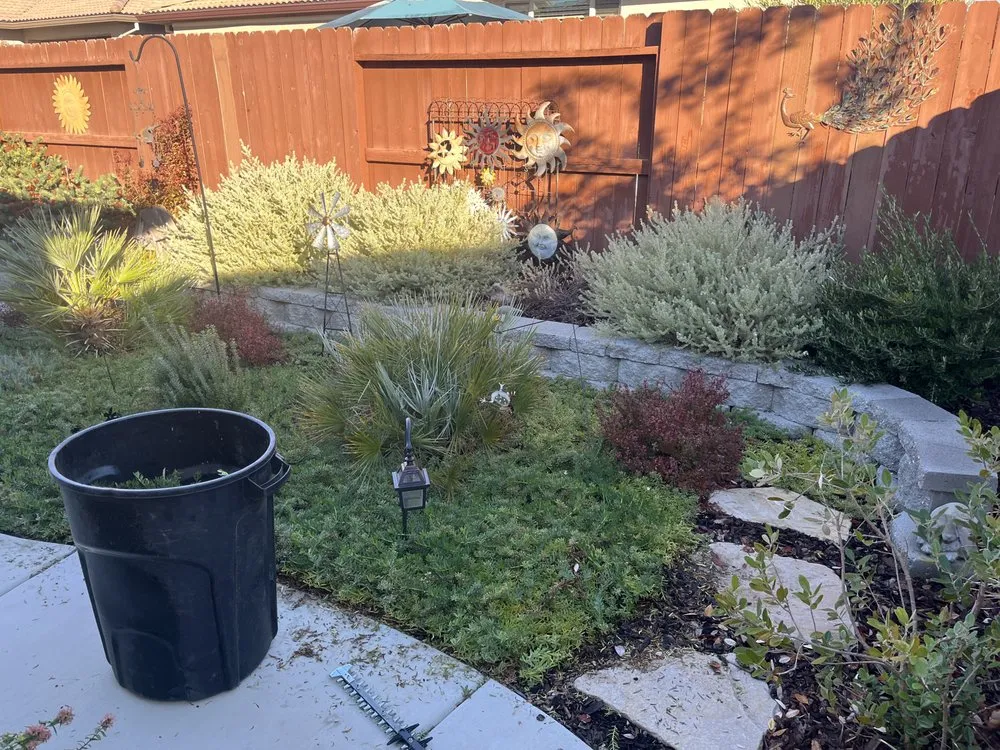 Expert outdoor landscaping in Placerville, CA by Raymundo Maintenance