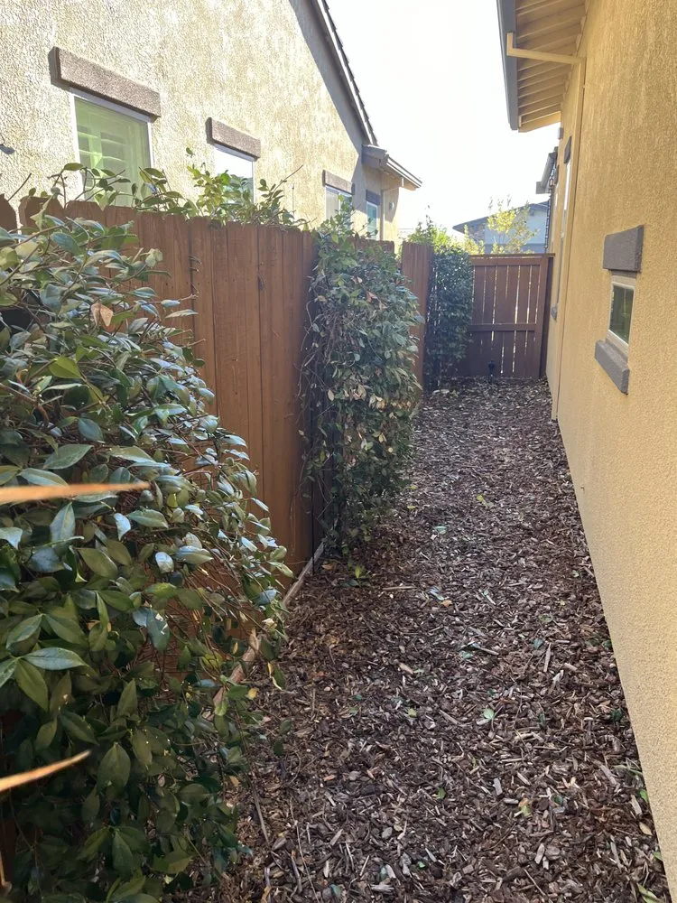 Professional landscaping services for beautiful yards across Placerville, CA - Raymundo Maintenance