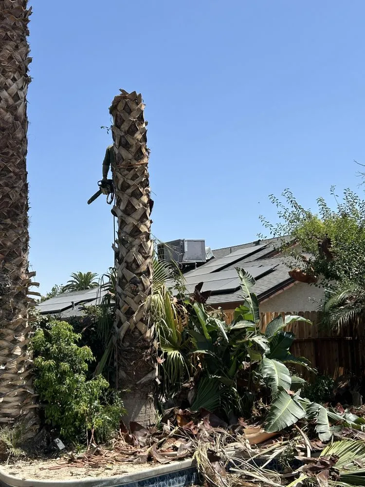 Custom residential landscaping in Bakersfield, CA by Raymundo’s Gardening Services