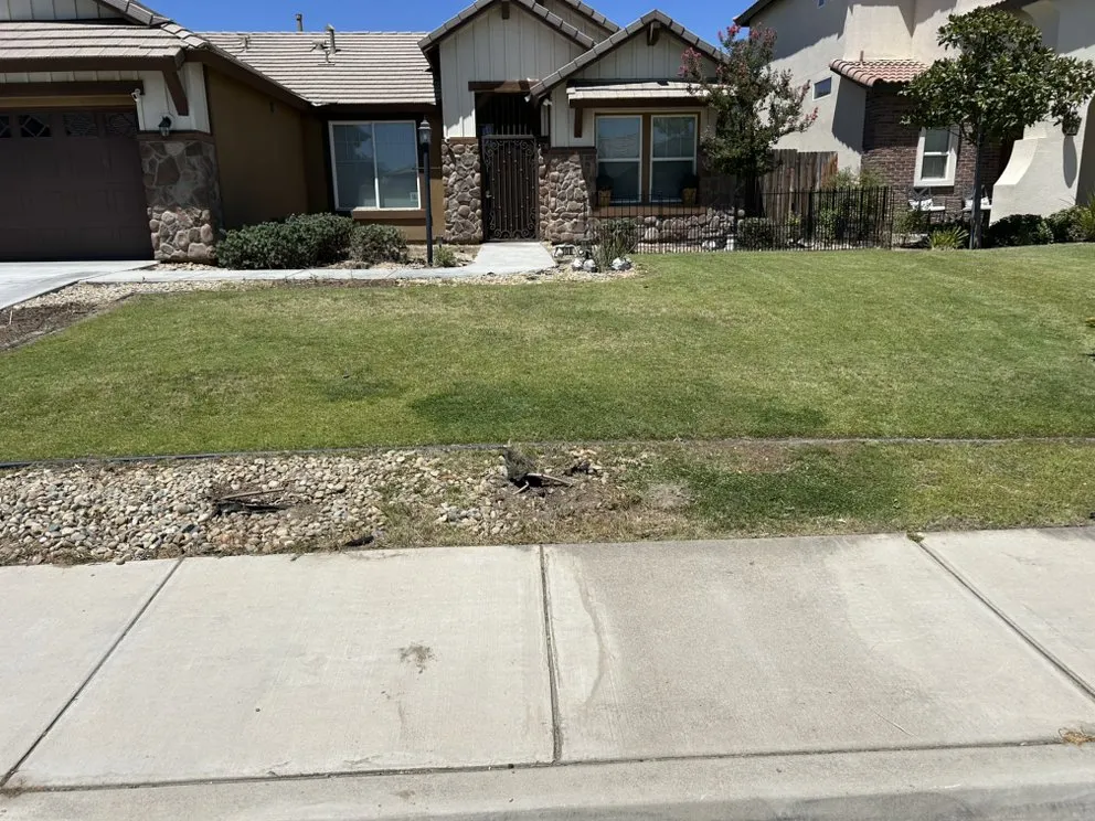 Expert landscape installation for year-round maintenance across Bakersfield, CA - Raymundo’s Gardening Services