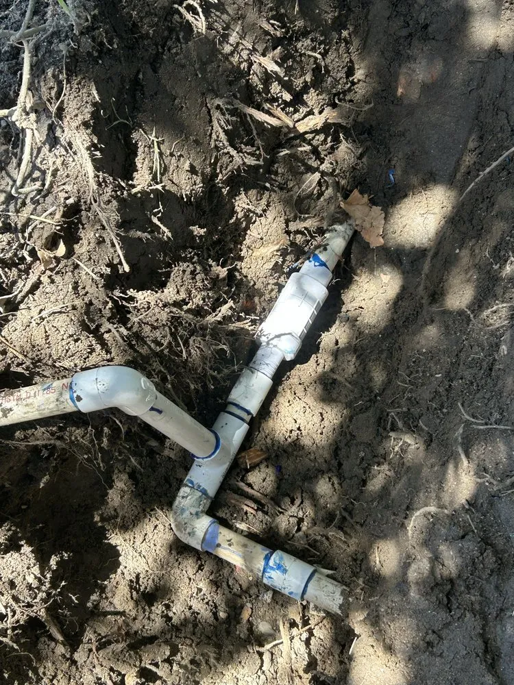 Expert residential landscaping in Bakersfield, CA by Raymundo’s Gardening Services