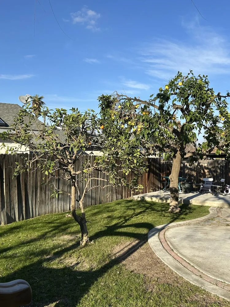 Trusted garden landscaping for beautiful yards in Bakersfield, CA by Raymundo’s Gardening Services