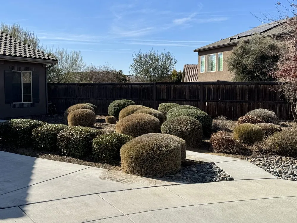 Top-rated landscaping services in Bakersfield, CA - Raymundo’s Gardening Services