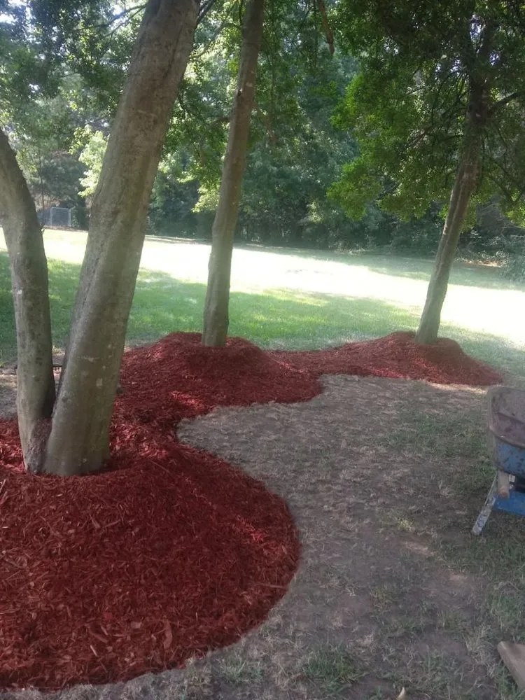Affordable outdoor landscaping for year-round maintenance in Willow Spring, NC by Raymundos Landscape