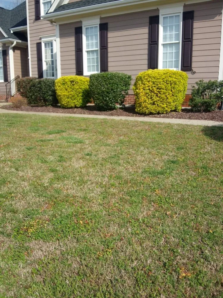 Local yard maintenance for beautiful yards in Willow Spring, NC by Raymundos Landscape