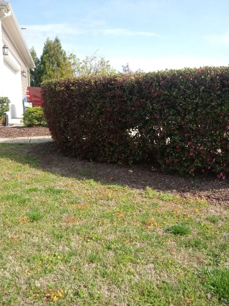 Trusted landscape installation in Willow Spring, NC - Raymundos Landscape