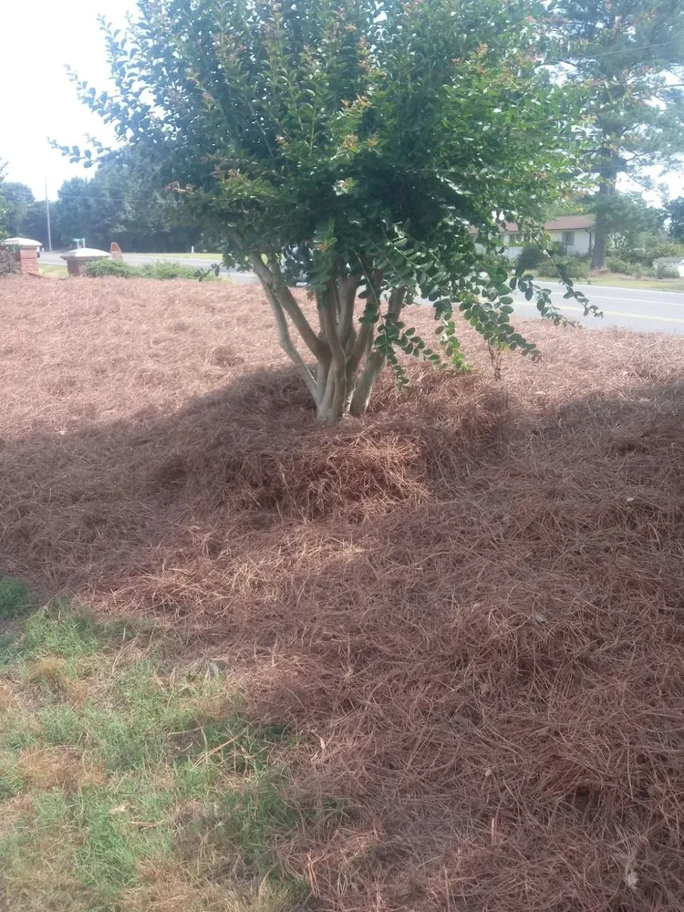 Professional landscape design in Willow Spring, NC by Raymundos Landscape